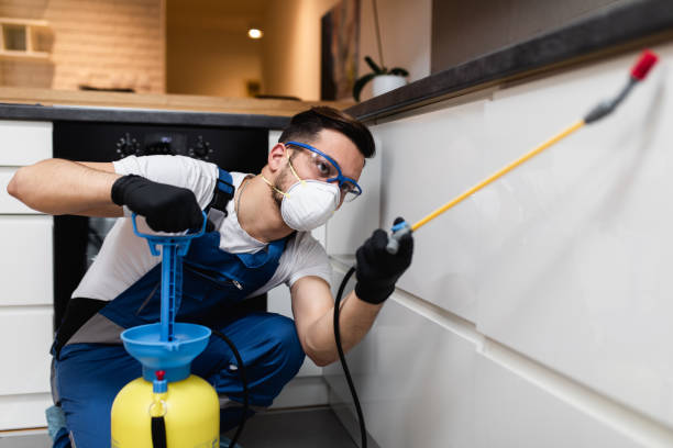 Best Pest Prevention Services  in Milan, NM