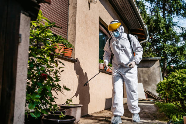 Best Commercial Pest Control Services  in Milan, NM