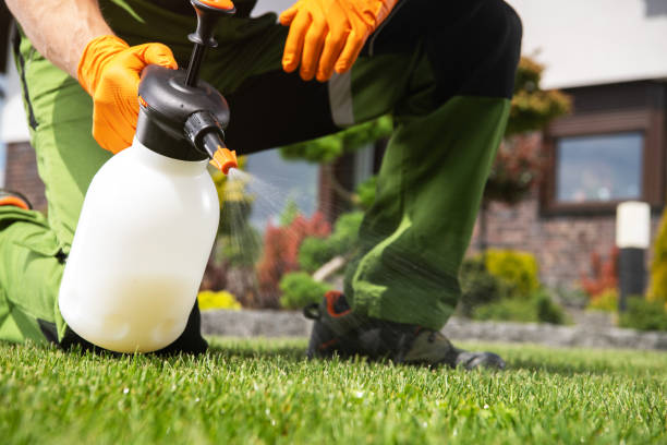 Best Mosquito Control Services  in Milan, NM