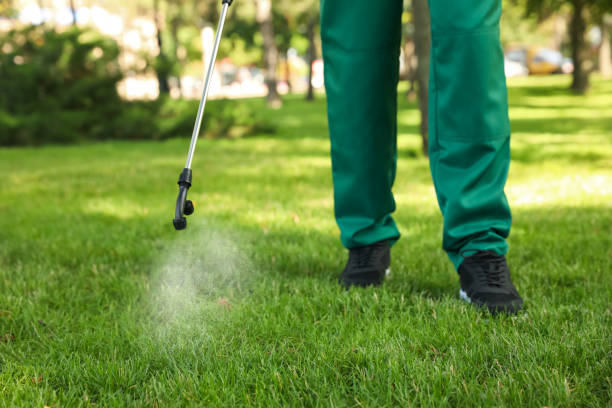 Pest Prevention Services in Milan, NM