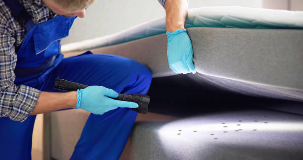 Best Residential Pest Control  in Milan, NM