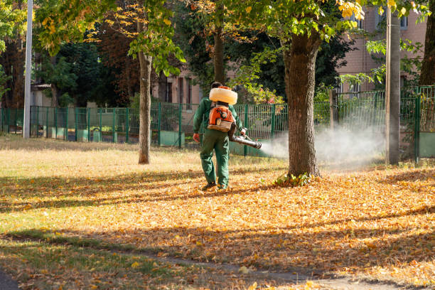 Best Best Pest Control Companies  in Milan, NM