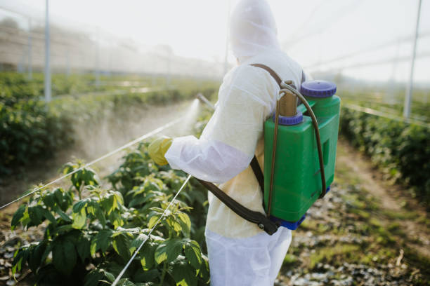Trusted Milan, NM Pest Control Experts